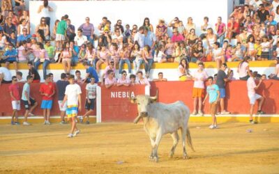 Fiestas en honor de la Virgen del Pino Copiar